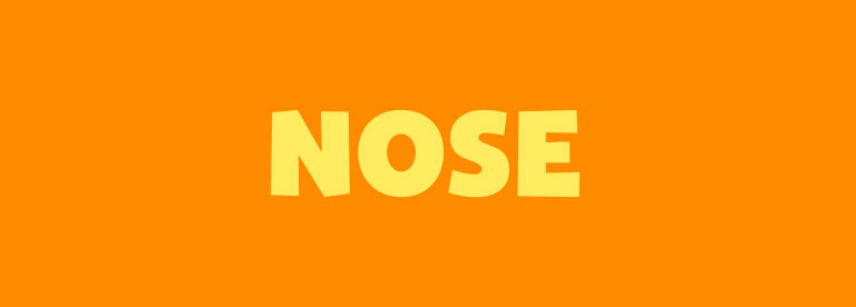 Word of the Day: Nose